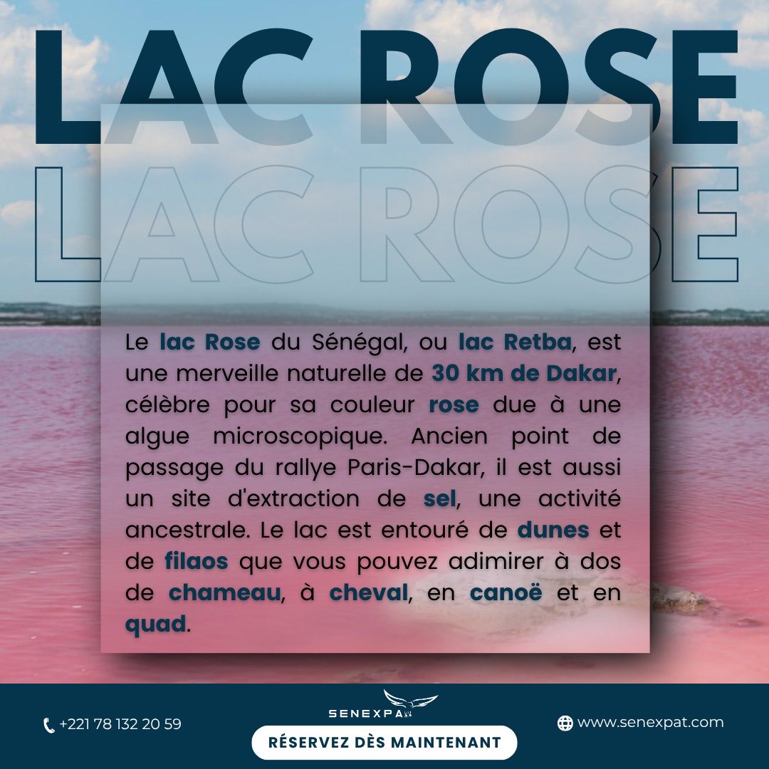 Senexpat_'s tweet photo. Quad, chameau ou canoë ? Comment allez-vous découvrir le #LacRose sénégalais ?
Un paysage unique, des activités pour tous. L'aventure n'est qu'à 30 km de Dakar.
Réservez dès maintenant avec SENEXPAT !
📞 +221 78 132 20 59
🌐 https://t.co/3500ObfGAT
#Aventure #Sénégal #Tourisme https://t.co/rZxeUULVJp