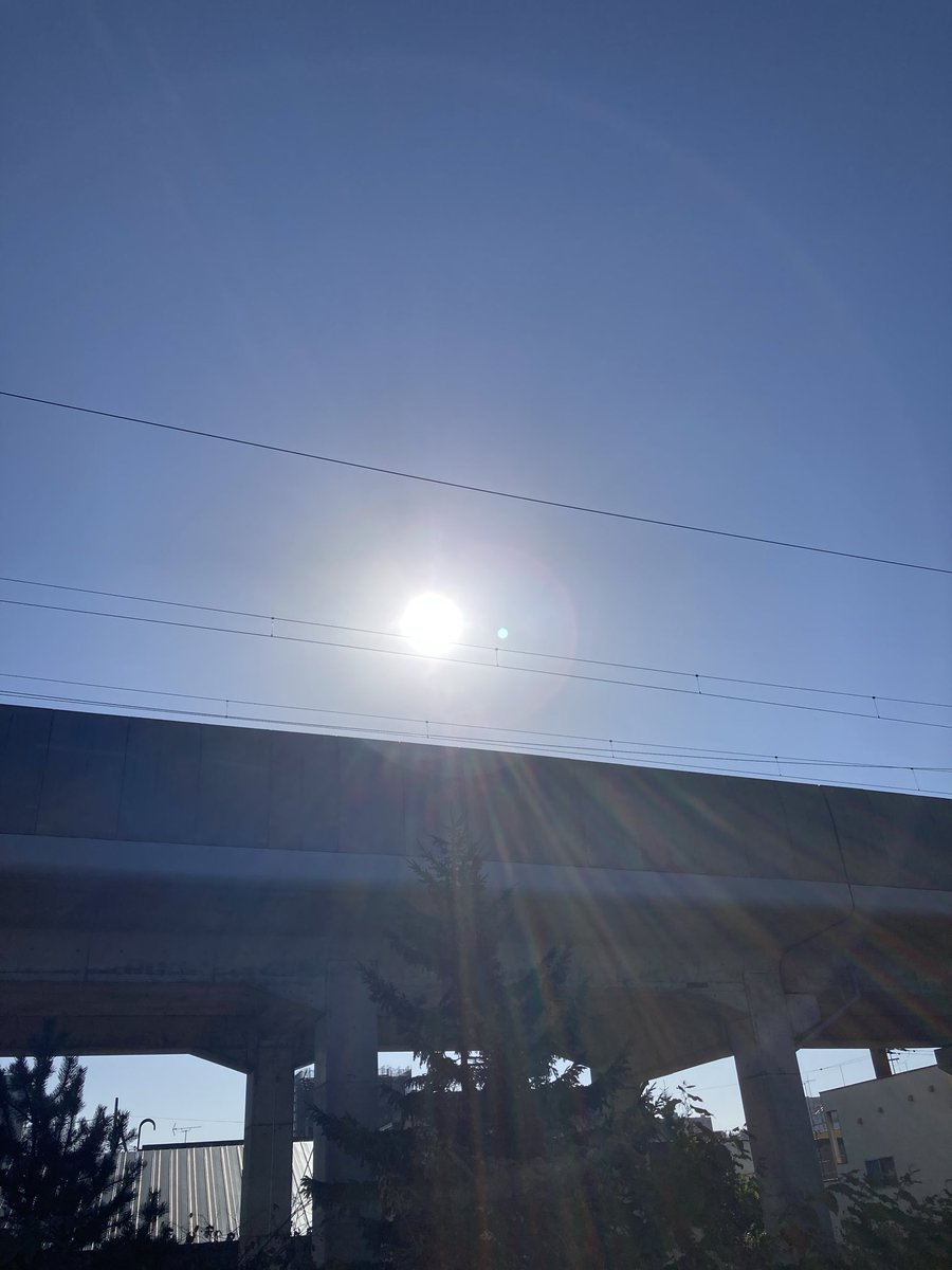 Good morning ☀️🕊️💕Afternoon 🍊
Evening 🍇 night ✨🦉