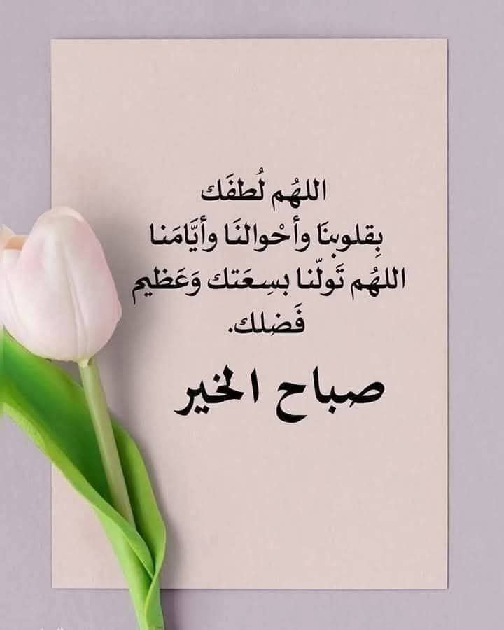 #إشراقة_الصباح
🌻أجمل شعور 
أن ترى أمام عينيك دعوةً كانت سِرّاًبينك وبين الله تُستجاب
كأنّها تهمس لك:(سَمِعتُك ولم أنسَك)
يارب قُرّأعيننابماتمنّينا
وأسعدقلوبنابفرحةٍ طال انتظارها
حقّق لناأحلامناالمؤجّلة ودعواتناالمتكرّرة التي لا يعلمهاسواك إنك على كل شيء قدير 
صباحكم دعوات مستجاب