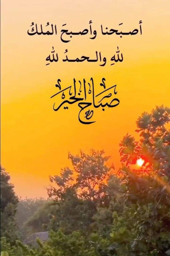 🌱✍ "قيل لأحد الصالحين
ماسرُالسكينة التي تعتريك؟
🪴فقال: قرأت
﴿يُدَبِّرُ الأَمْرَ﴾
فتركت أمري لصاحبِ الأمر
🪴 وقرأت
﴿إِنَّ مَعَ العُسرِ يُسرًا﴾
فأيقنت أن العُسر زائل لا محالة
🪴 وقرأت
﴿فَمَا ظَنُّكُم بِرَبِّ الْعَالَمِينَ﴾
فأدركتُ أن خيرَ الله قادمٌ لا محالة"🤲🌺🌺🤲

🌾