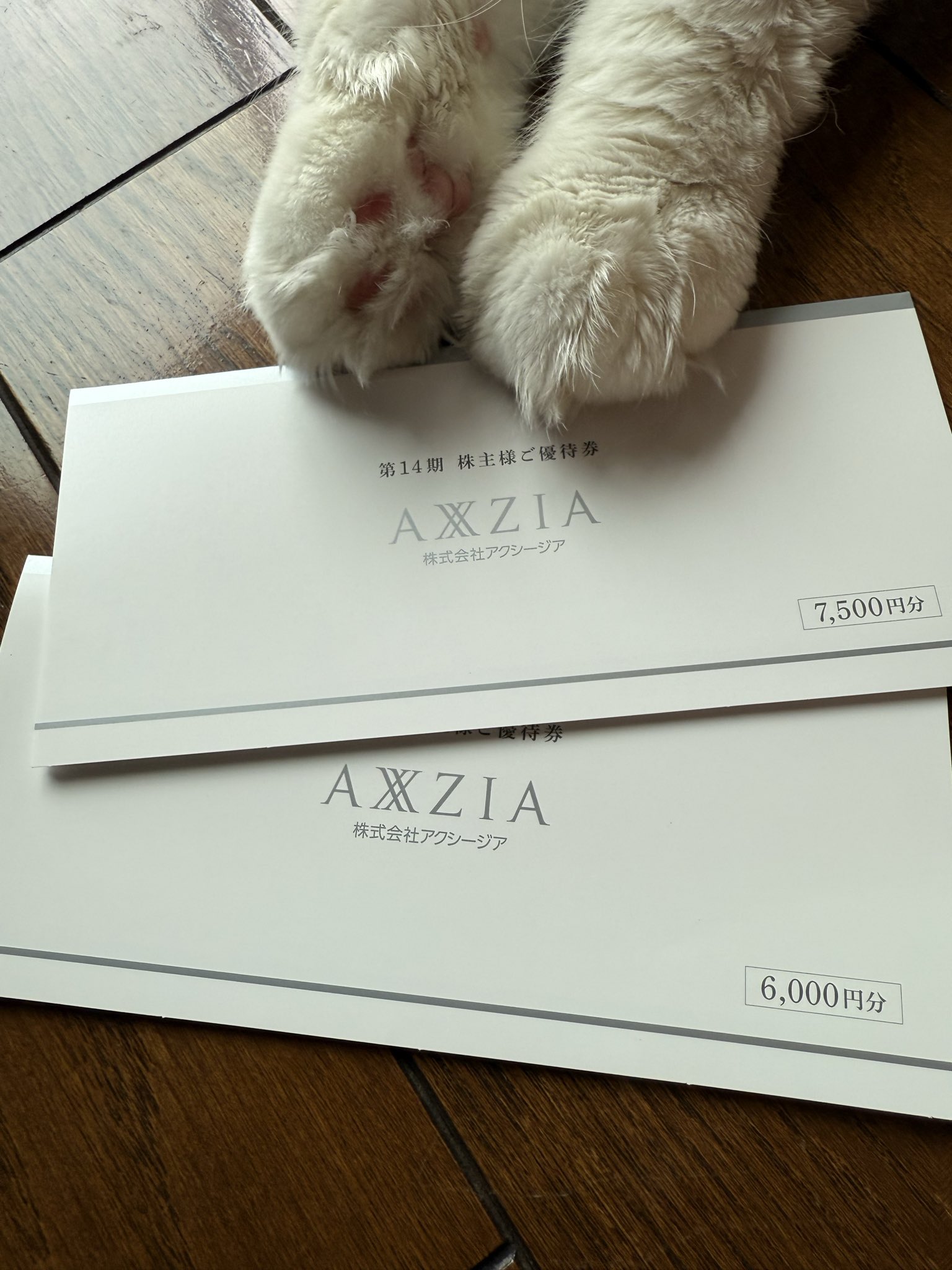 アクシージア優待 4936】アクシージアの株主優待情報 | 株主優待情報コンテンツ『知って