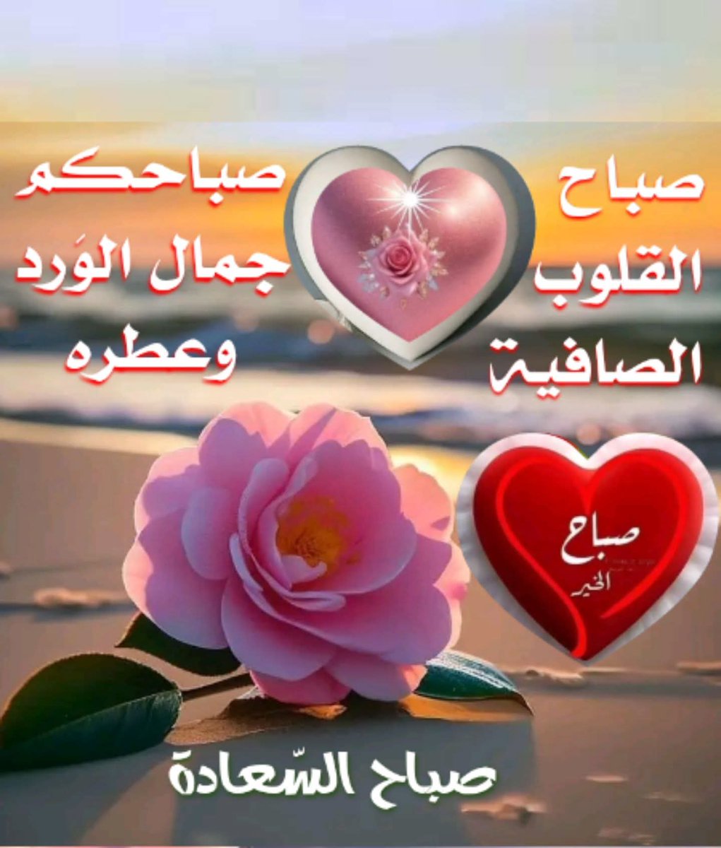 صبحكم الله بالخير والسرور جميعا يارب العالمين 💐🌹🤲🌹💐🌹💐🤲💐🌹💐🌹