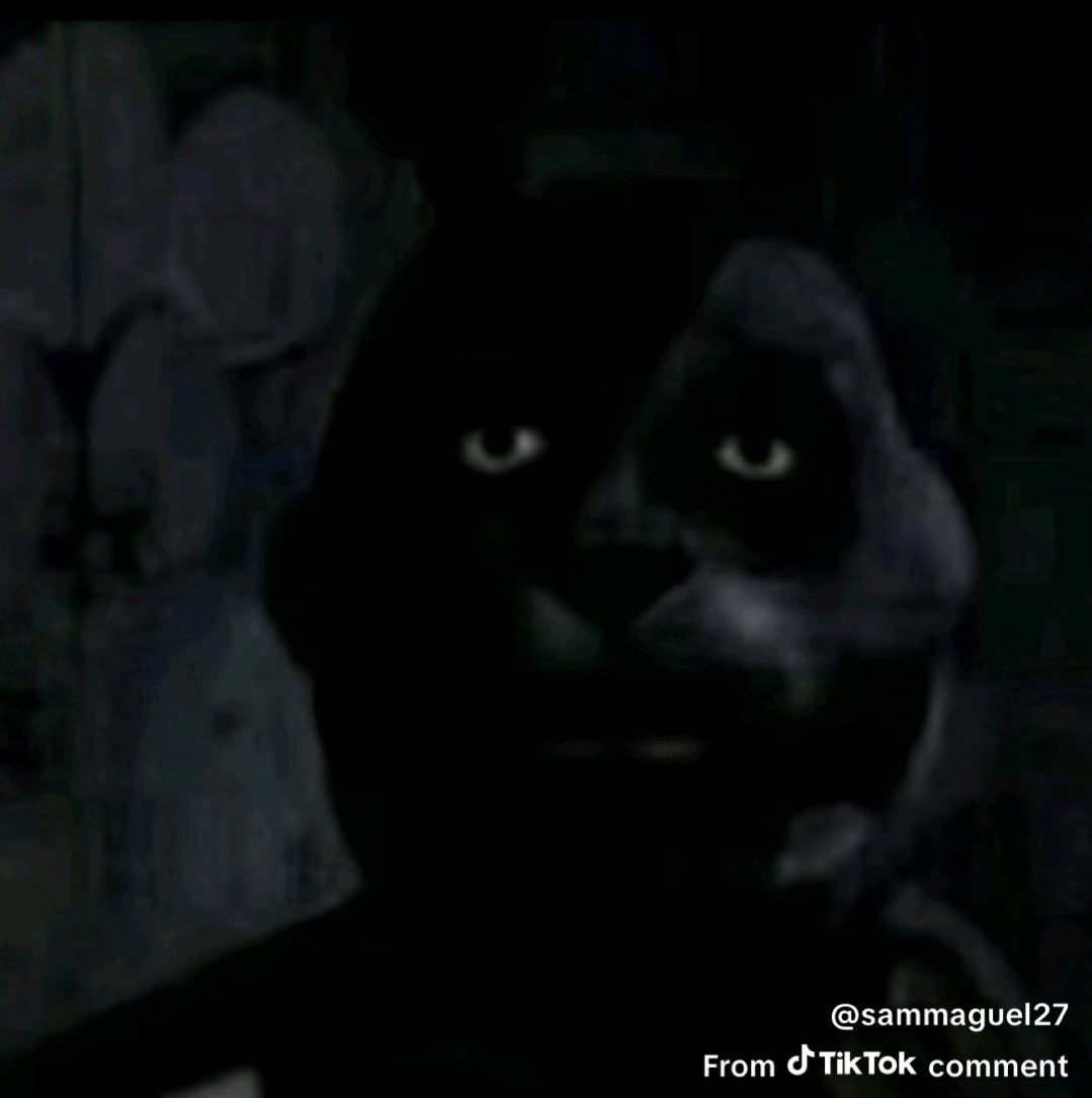 lxnguinii's tweet image. chiefs are gonna dog walk the afc again aren’t they