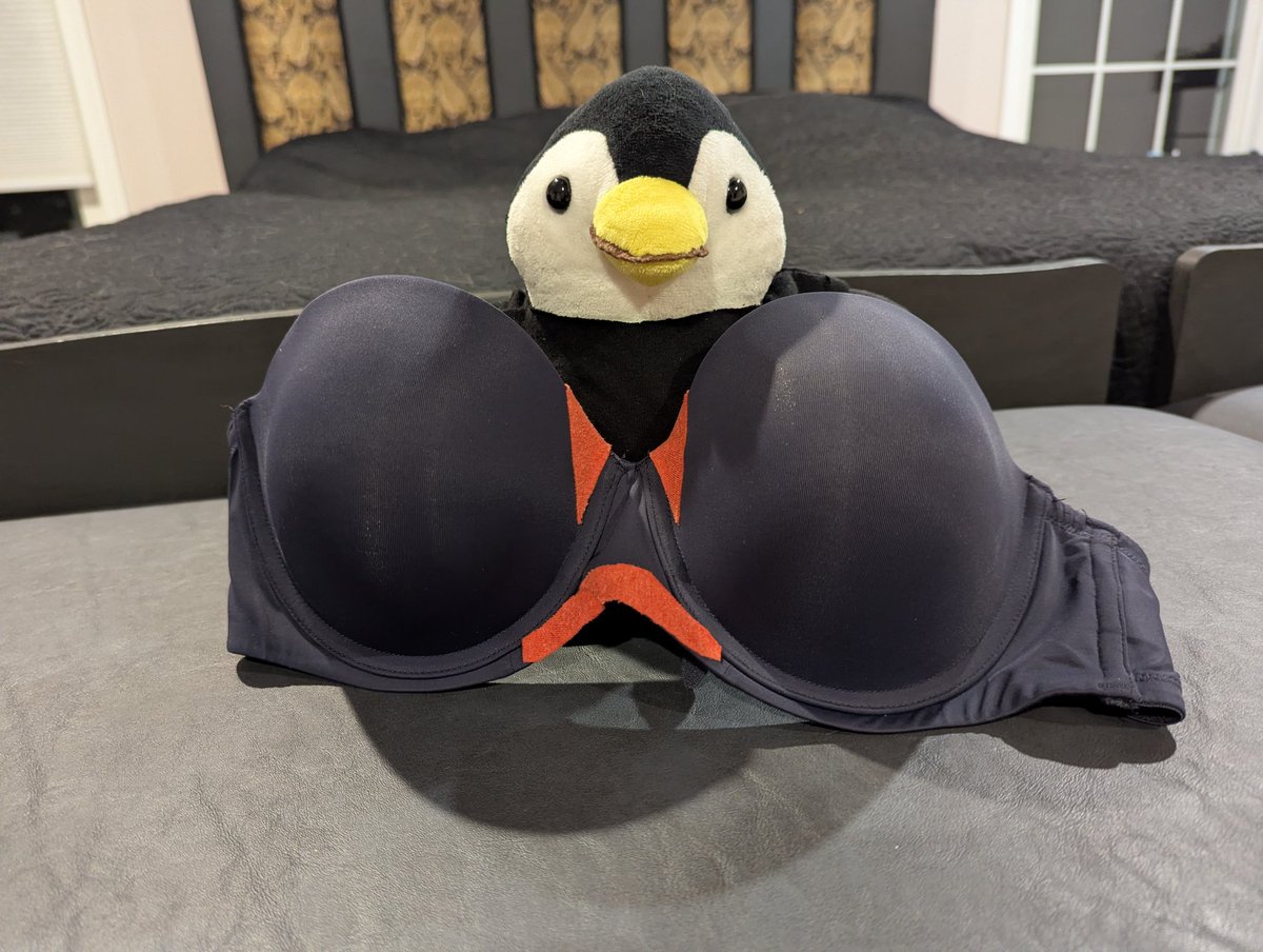 pico_sc's tweet image. Today is No Bra Day, but let&apos;s be real, no one wants to wear the #StarCitizen strapless bra on the daily😉