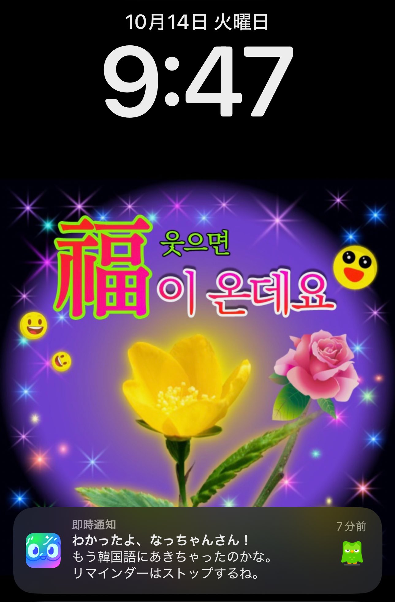 リンゴページ 000000011089-06-xxl.jpg?t=