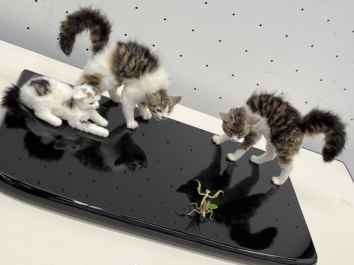 ここねここ (@coconekoko) / Posts / X