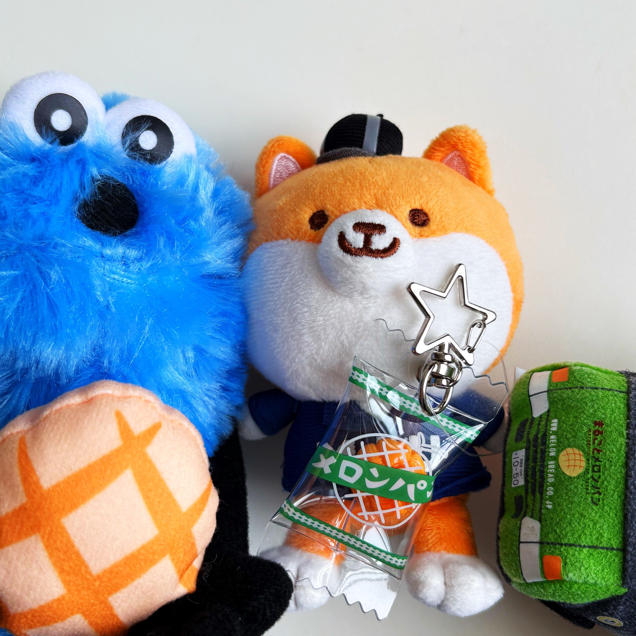 めろんぱん めろんぱん □デコレ□□2024AW 新作□ メロンパンかめ | 【web