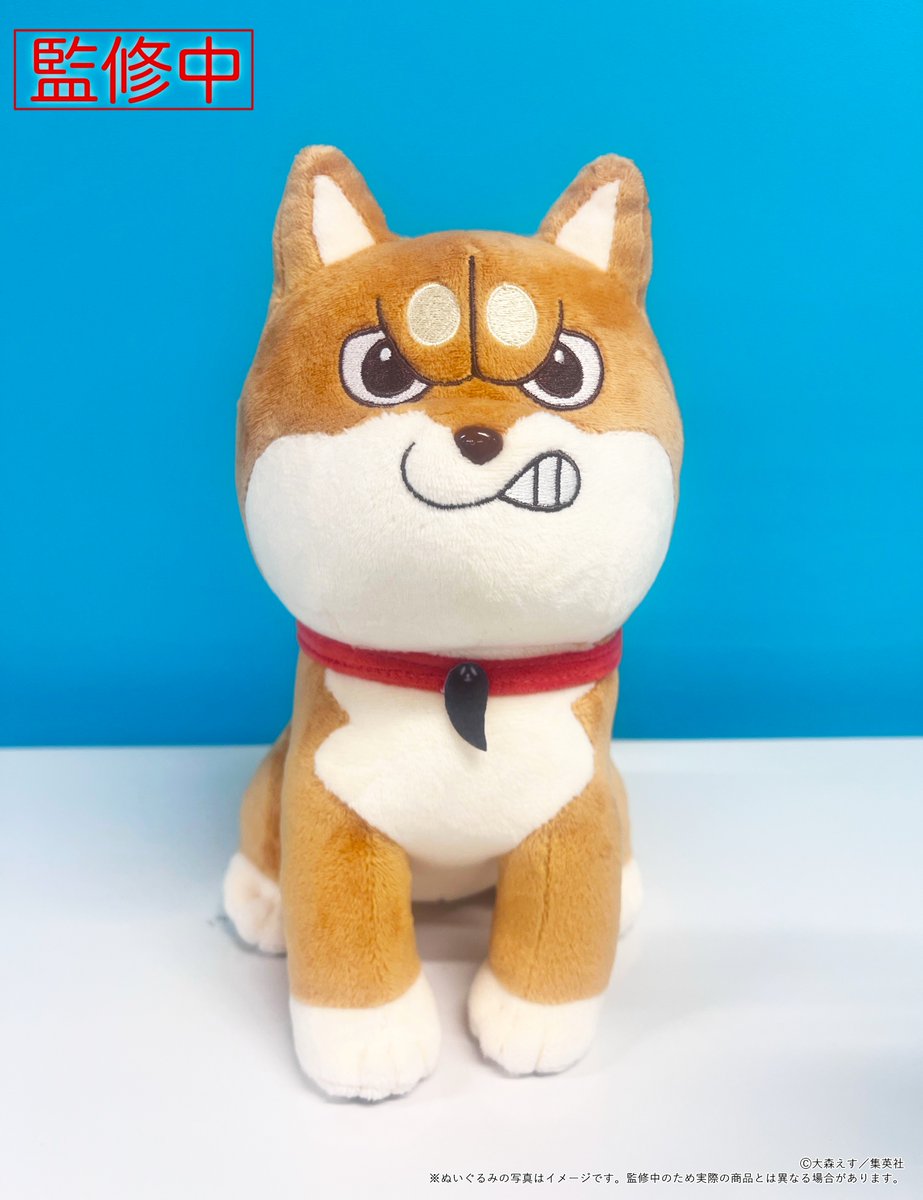 シバつき物件　むうちゃん　ぬいぐるみ　柴犬　受注生産 シバつき物件』POP UP SHOP🐕🏠 【商品情報】 本日より予約開始
