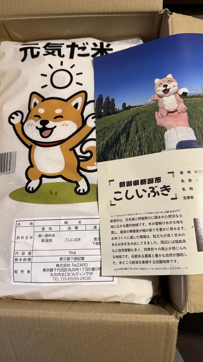 ちょぼげ tweet media