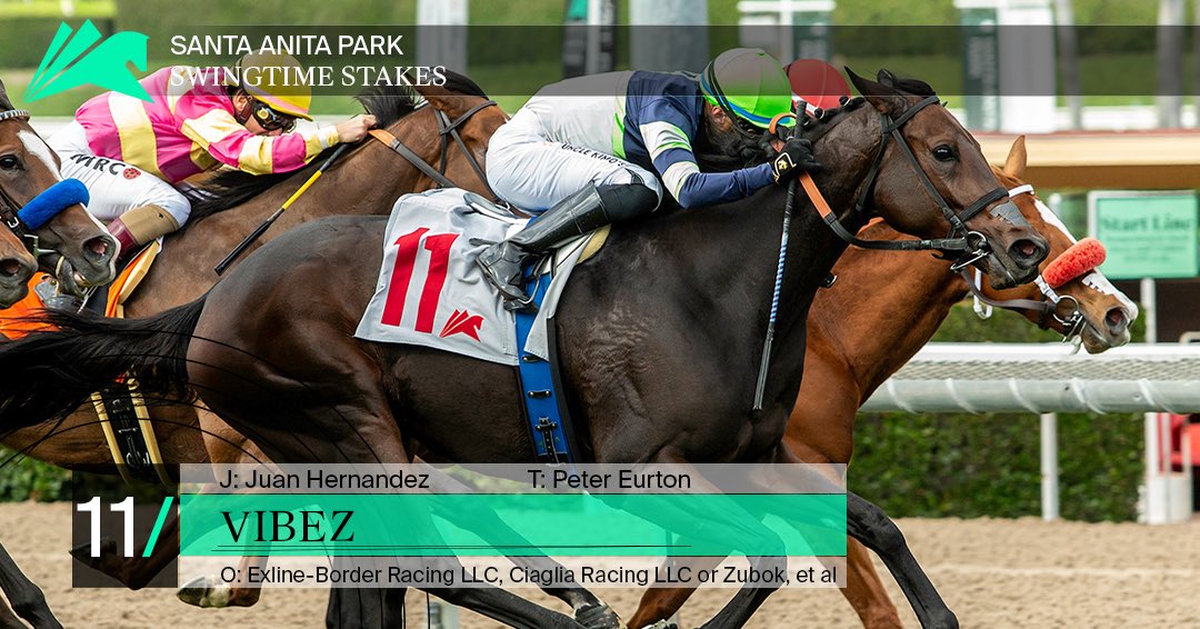 “I was telling Peter, she was there for me the whole time,” Hernandez said. “She started quick and I was able to put myself in a good spot. She was running really well. I was just waiting for the quarter pole to make my move.” Juan Hernandez after his win aboard Vibez.