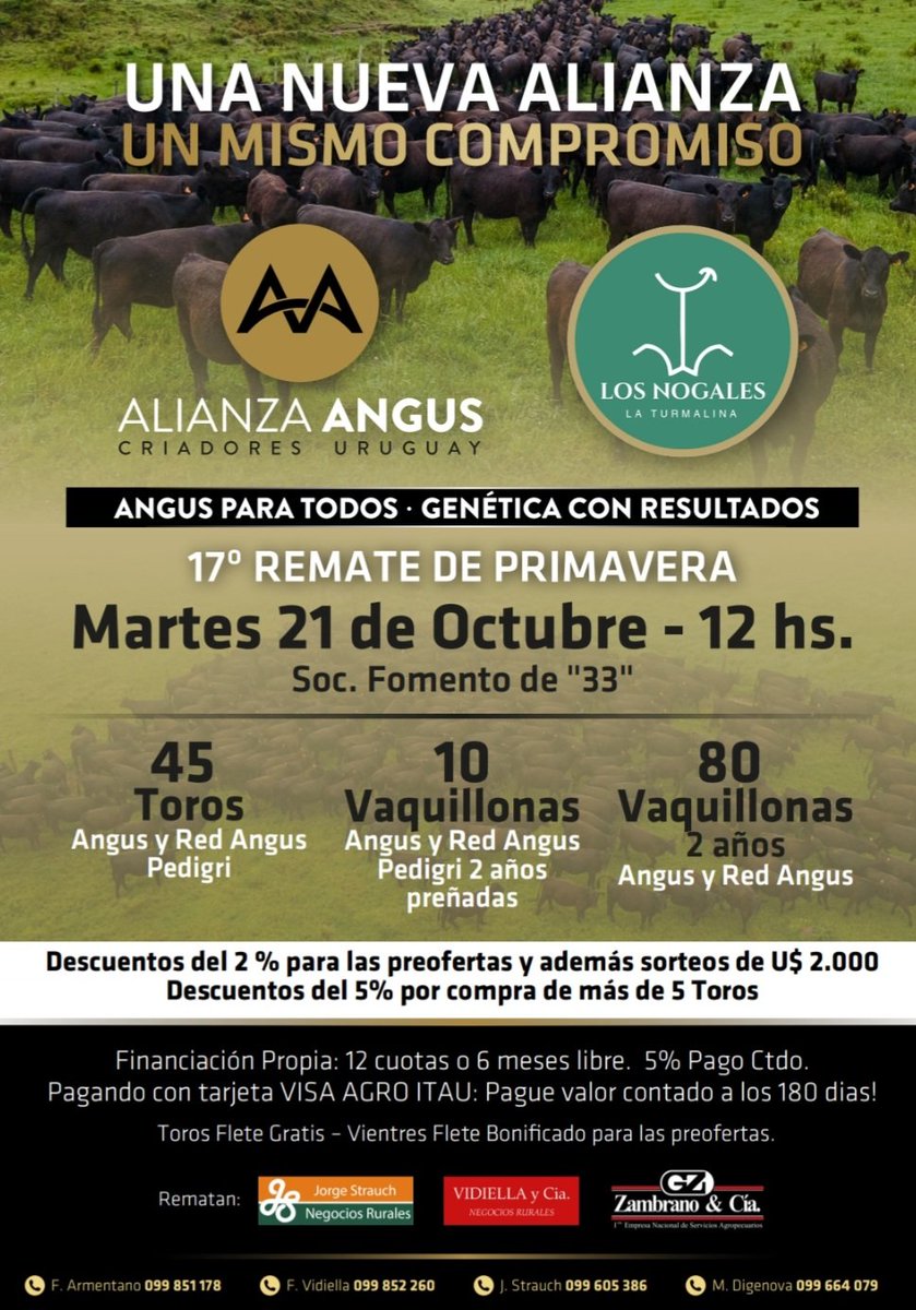 CATALOGO 2025 YA DISPONIBLE 
👇🏻                                                       👇🏻
alianzaangus.com/_files/ugd/cc6…

<a href="/CampoCierto/">Campo Cierto</a>
<a href="/ZambranoyCia/">Zambrano & Cía.</a> Cia 
<a href="/jstrauchNR/">Jorge Strauch Negocios Rurales</a> 
@escritoriovidiella
<a href="/AngusUruguay/">Angus Uruguay</a>
