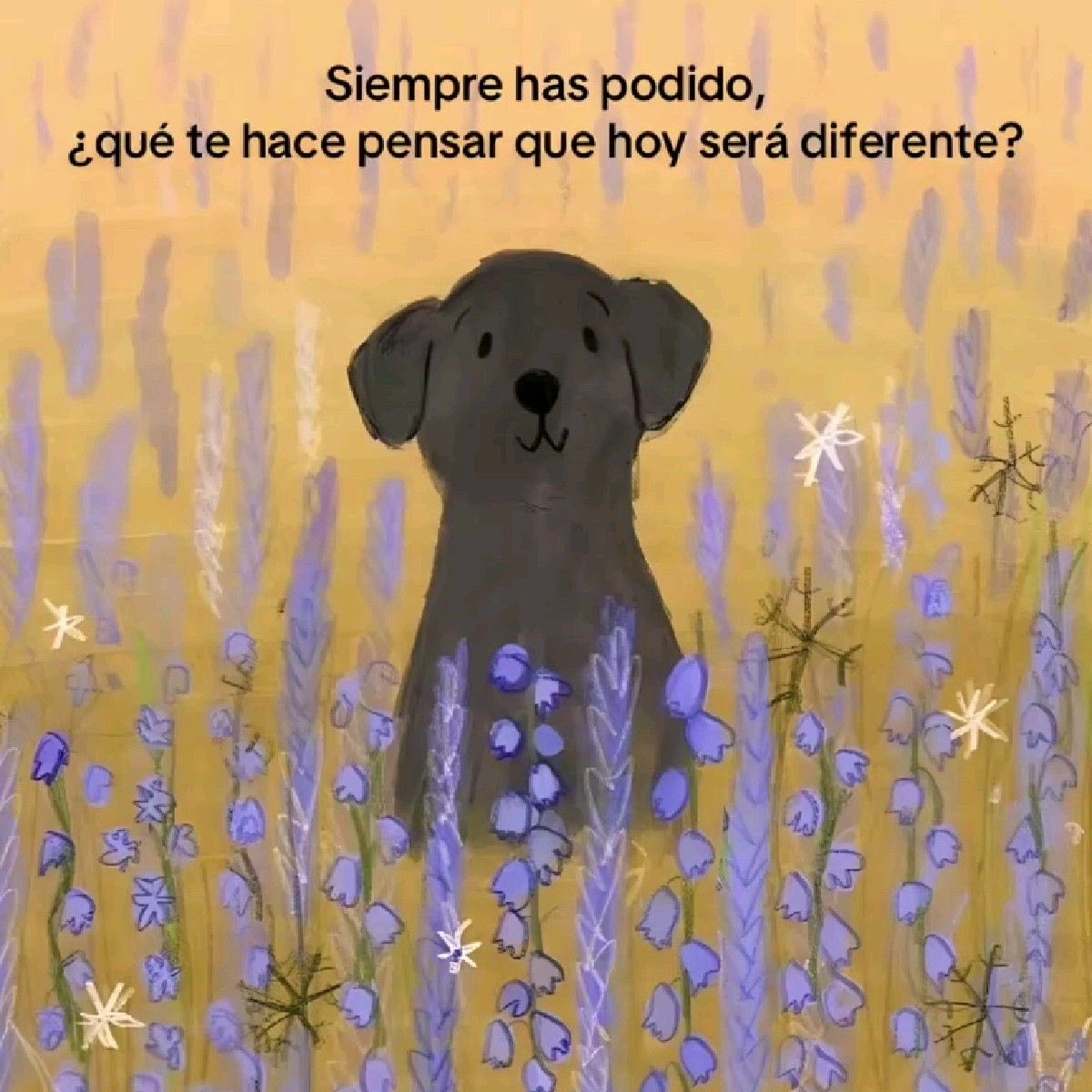 Pude, puedo y podré