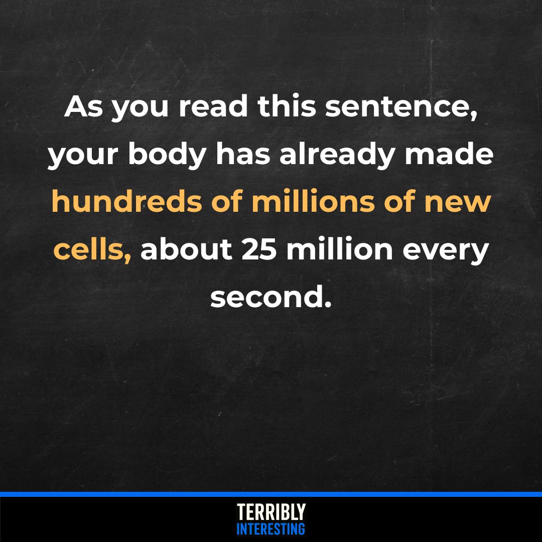 Your body creates about 25 million new cells every second. Most are recycled and replaced within years, while some, like neurons, last for life. You are constantly being rebuilt, molecule by molecule, without even realizing it.
