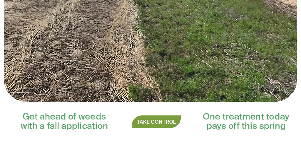 Fall burndown spreads the workload to take advantage of more available spray days. Approach spring with maximum flexibility, knowing your tough overwintering weeds are managed. In this video, Dr. Dan Beran highlights the building blocks of an effective spray application. Check it