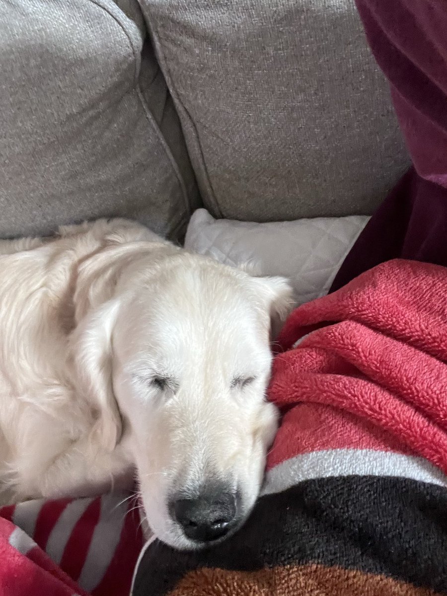 Bruce Nolan tweet media