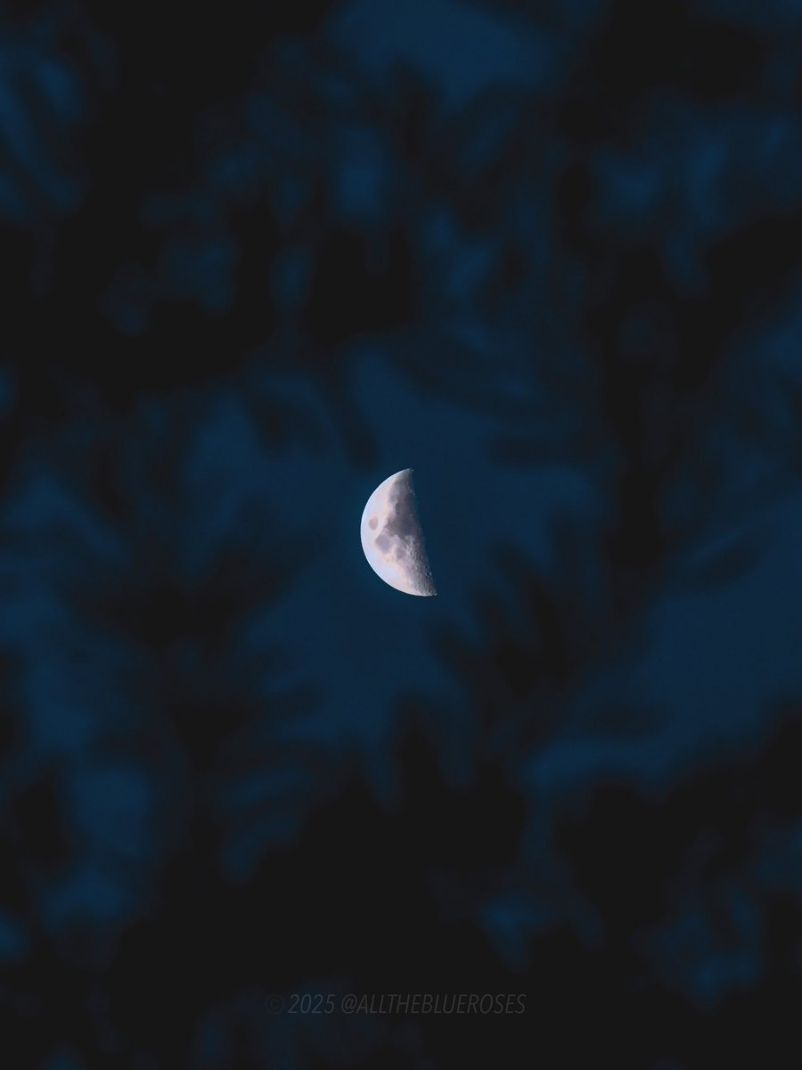 see you in your dreams 🌗