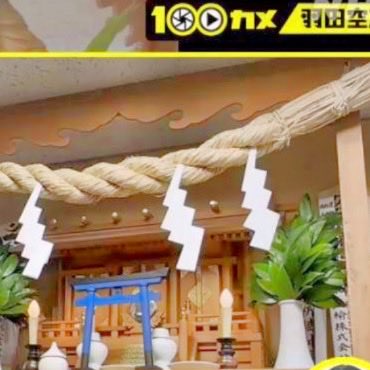 こんちゃん様 こんちわコンちゃん観察日記 on X