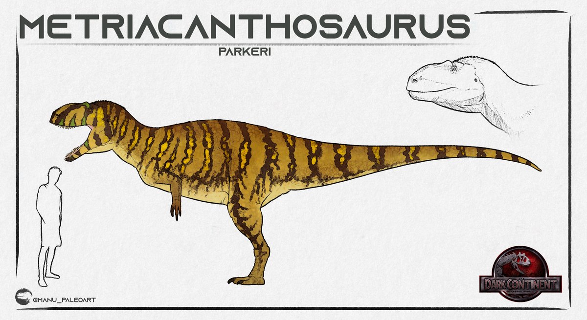 🚨Check Out The Stylized Design For The Male Metriacanthosaurus In My Novel Primeval: The Dark Continent 🚨
•
🔍 Load In 4K To See The Full Detail 
•
✍🏻 Commissioned By: <a href="/MDinoart/">Manu_Paleoart</a>
