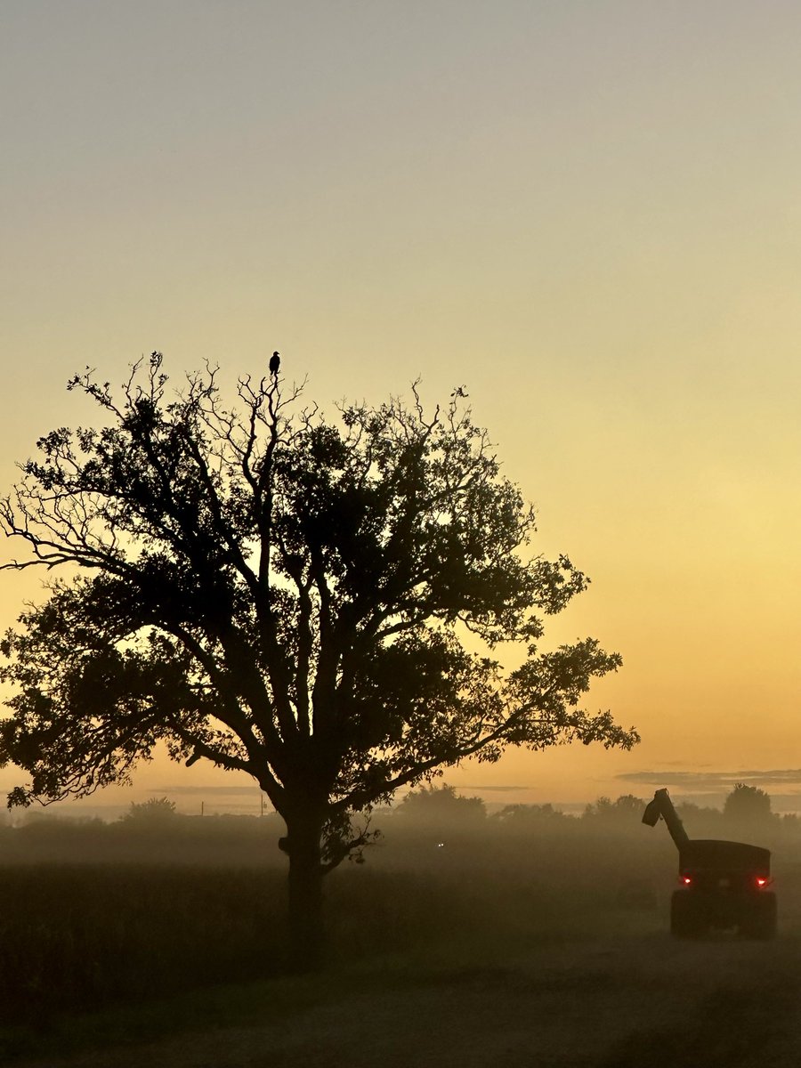 Cody Kirkpatrick tweet media