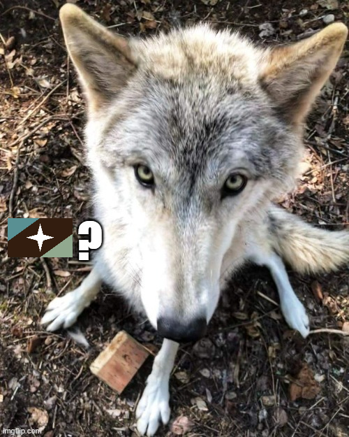 GoodDogieNoBone's tweet image. I know what kind of man you are... 👀