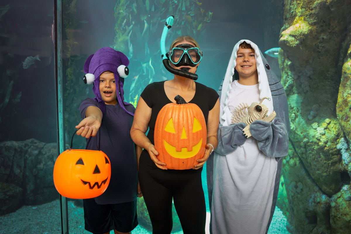 Scarium Family Night is this Friday, October 17th, from 6:30-9:00PM! This family-friendly event includes a costume contest, DJ, vampire-magician, tank-or-treating, and more. Visit aquariumofpacific.org/events/info/sc… for tickets and info! 🧛‍♂️🎃🦈