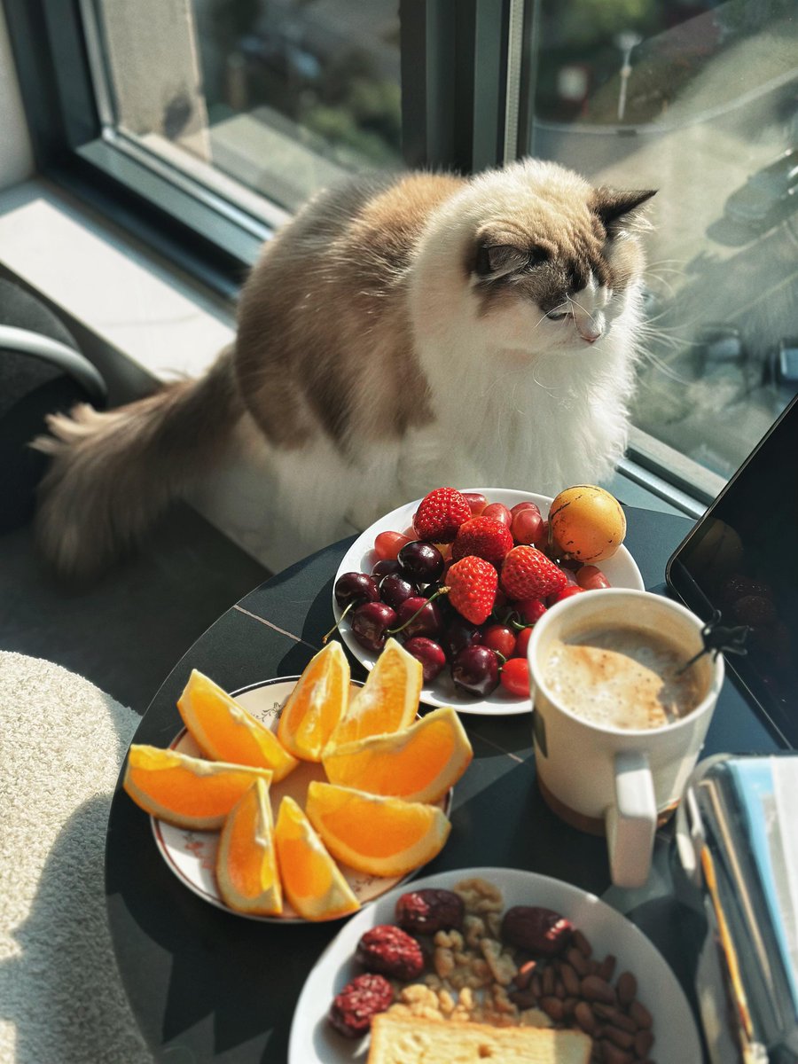 Mathcscobar's tweet image. ひとくちの苦みと、少しの甘さが、私の暮らし☕🍬