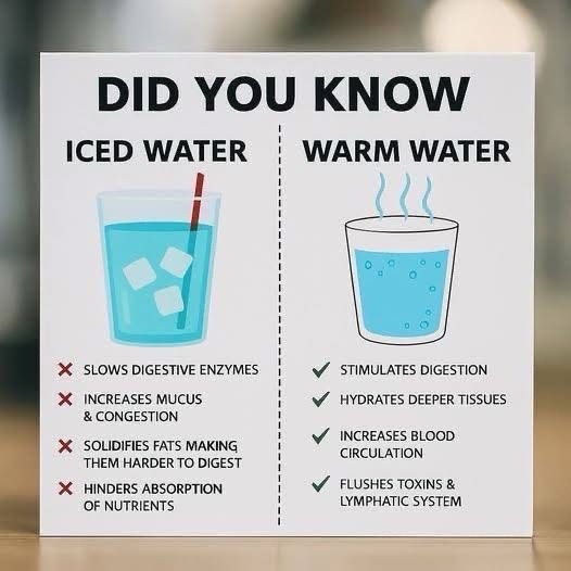 hemantparikh's tweet image. Still sipping ice-cold water? Here's why your gut might hate it!

Warm water boosts digestion, clears toxins &amp;amp; supports better nutrient flow.

Try swapping that chill for a warm glass in the morning—your body will thank you!  #watertips #healthiswealth