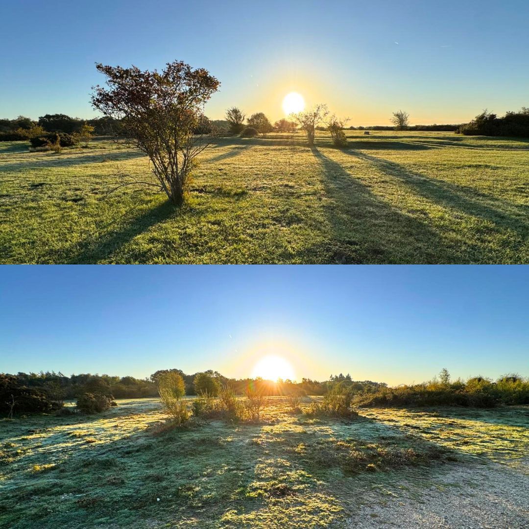 BBO Wildlife Trust tweet media