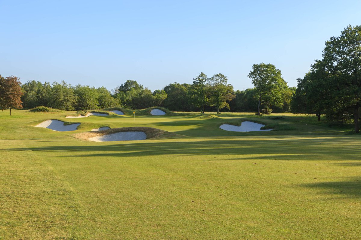 golfoffers tweet media