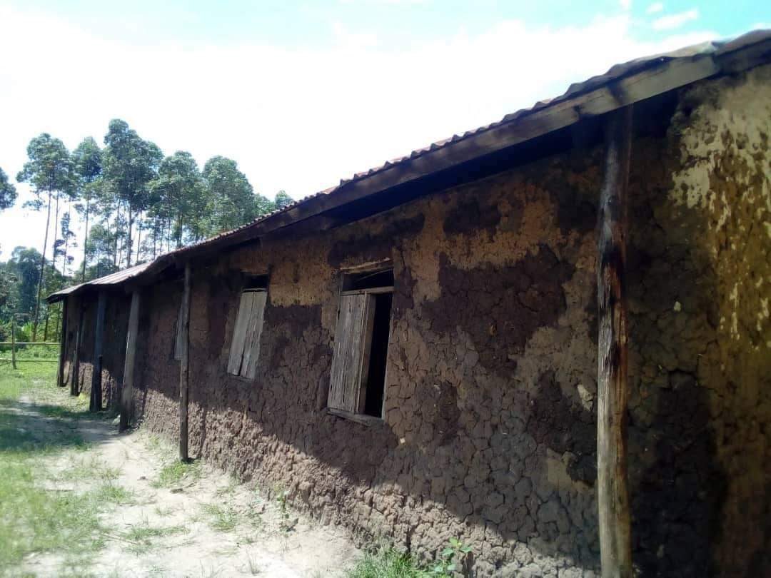 TURYAHABWESAVI1's tweet image. In many Villages , children study under trees because classrooms are cracked and leaking,
The NUP government will rebuild every school, restore hope, and a source of pride again.
@HEBobiwine #ProtestVoteUg2026