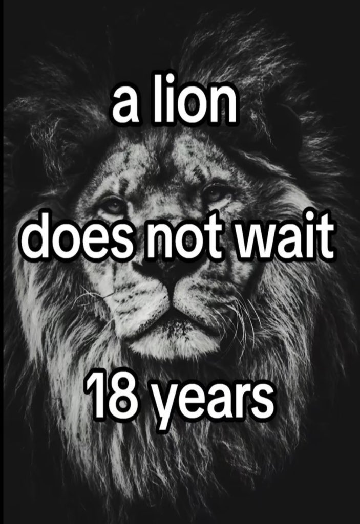 MichaelMuscan's tweet image. The lion has been known to associate with children..