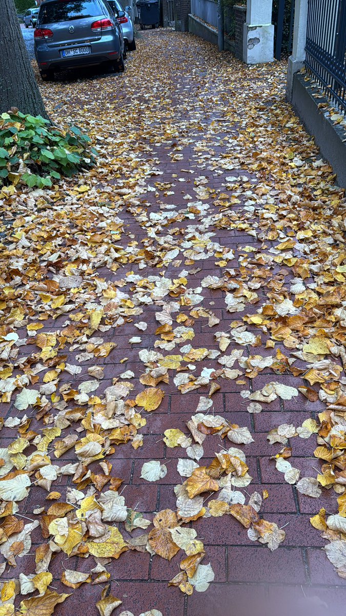 Güz mevsimini her zaman sevmişimdir.#Günaydın☕️🍂