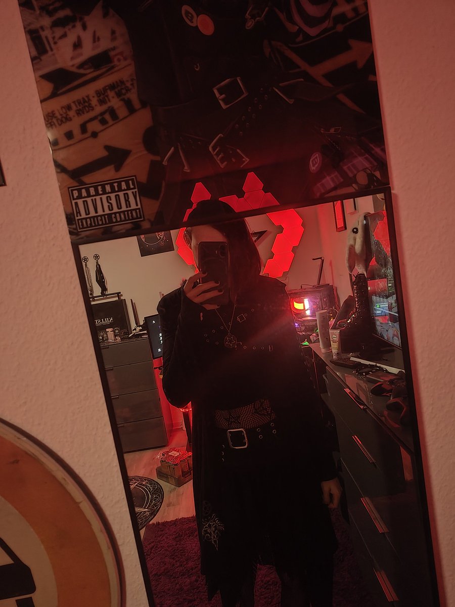 ⛦≽^- ˕ -^≼⛦