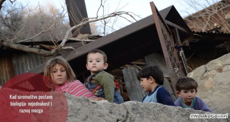 Nejednakost nije samo ekonomska – ona oblikuje i mozak 

Siromaštvo, nejednakost šansi onemogućavaju sticanje iskustava, širine shvatanja, obogaćivanje uma, a loša prehrana usljed siromaštva takođe ima svoj uticaj na psihofizički razvoj. No sada imamo...

sn.rs/jd7al