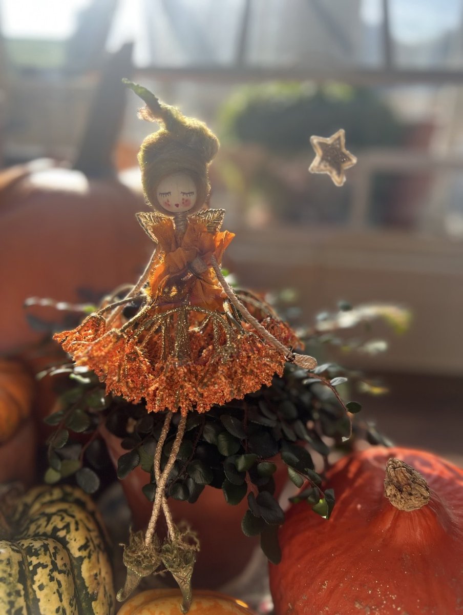 Wild Willow tweet media