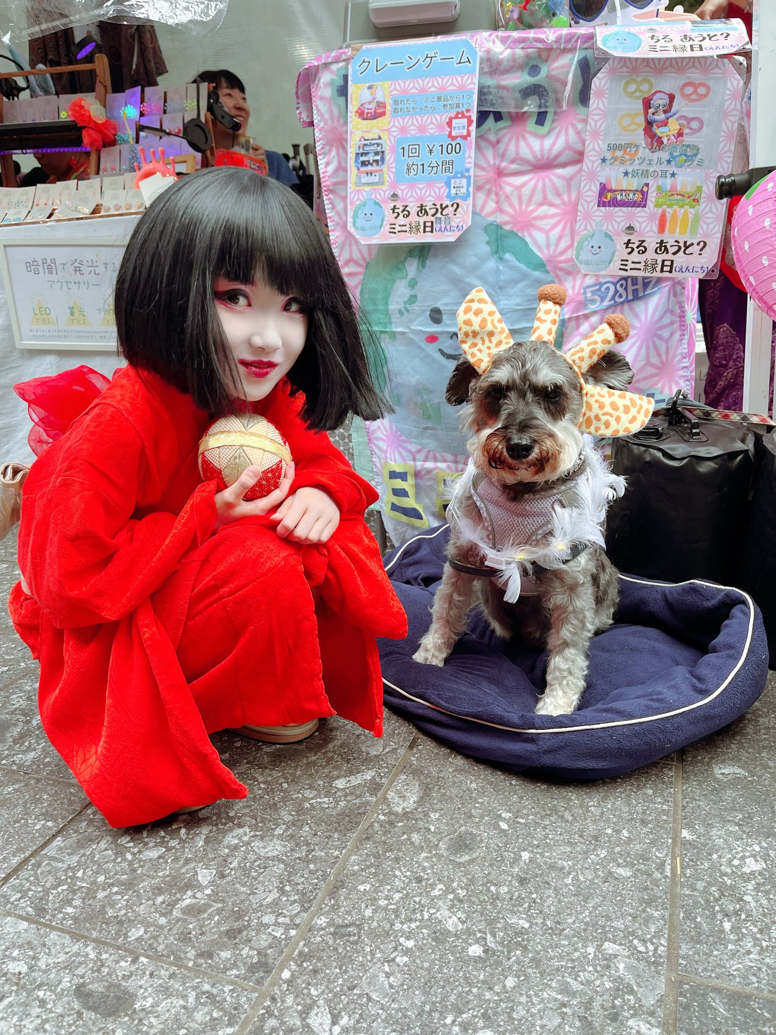 可愛い女の子　猫ちゃん　わんちゃんパネル❣️ ねこちゃん わんちゃん パネル 里親募集中 ハンドメイド