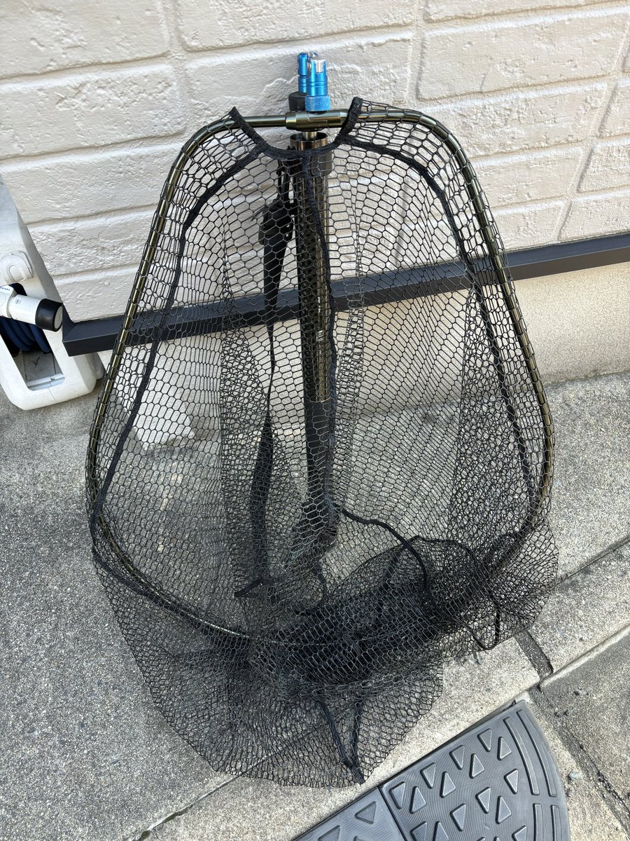ばなニキ🐟スン活ハマり中 tweet media