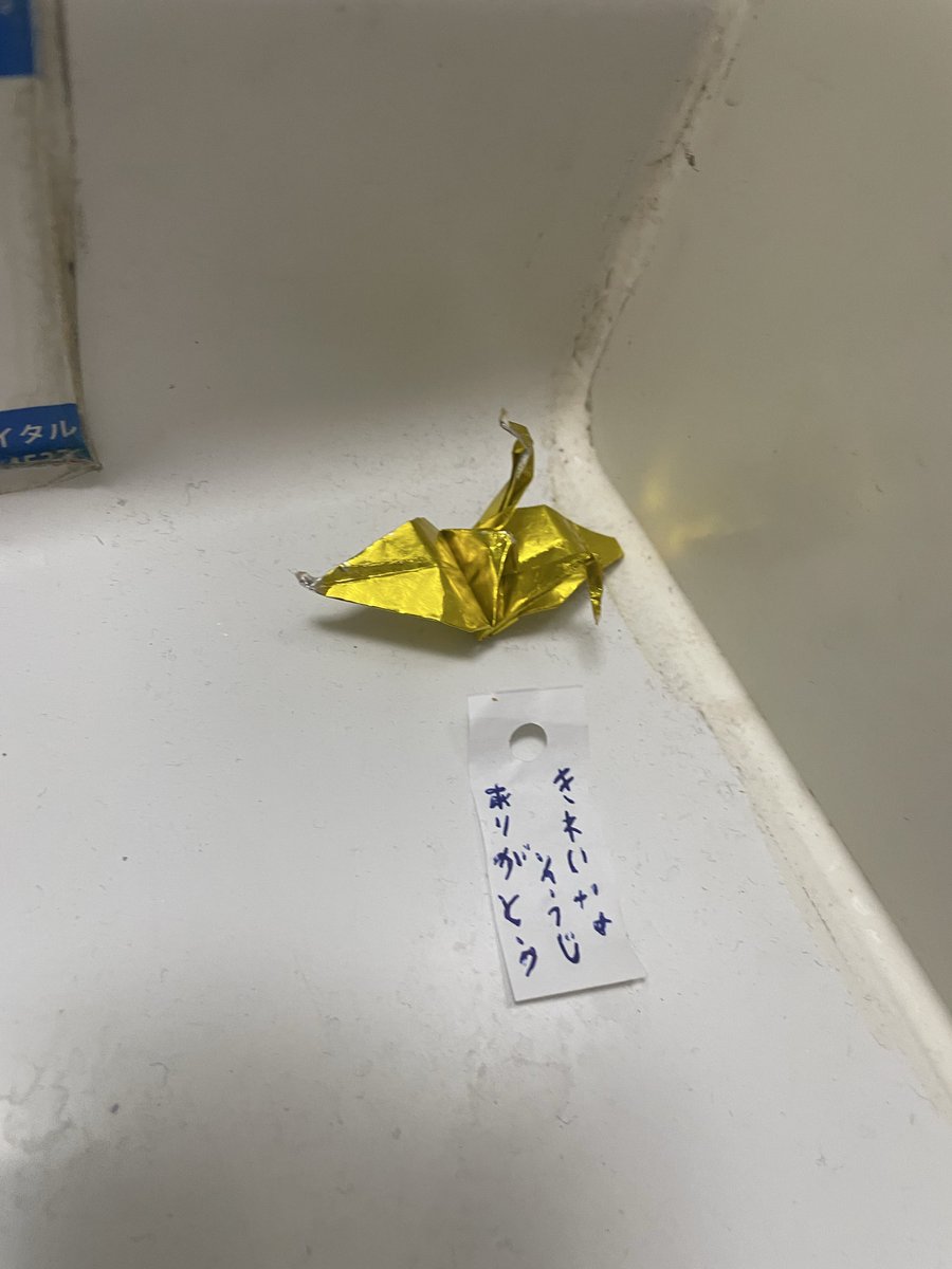 soft_sitajiky's tweet photo. コンビニのトイレに置かれてた。うんこしながら折ったのかな https://t.co/kVQL7KoUuS
