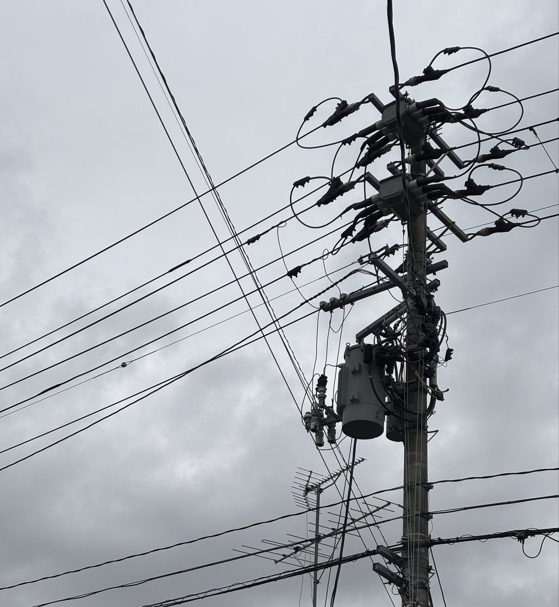 からし＠介護×デザイン✨ tweet media