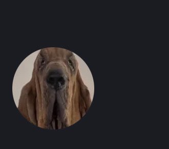 got his discord wtf is this ugly pfp