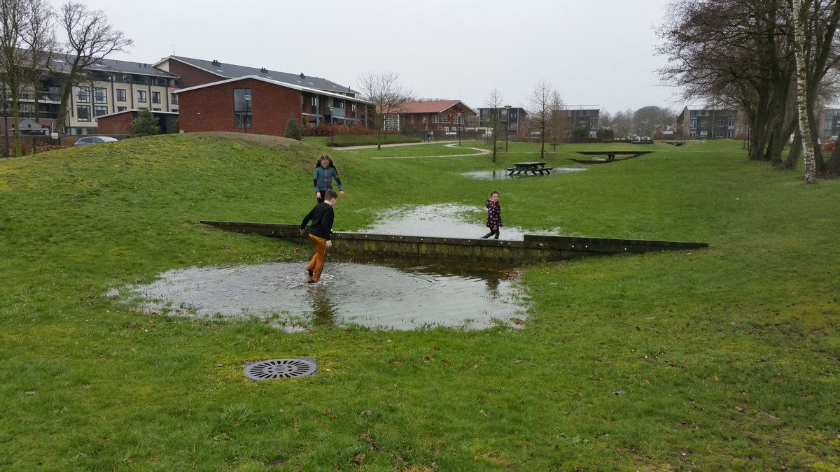 NandaSluijsmans's tweet image. Een vakgenoot vroeg voorbeelden van wadi's🌱🌧. Die in #Putten blijven goed als voorbeeld.😃

Volgende week wadi-tijd!😃☔️
#Klimaatadaptatie 💧