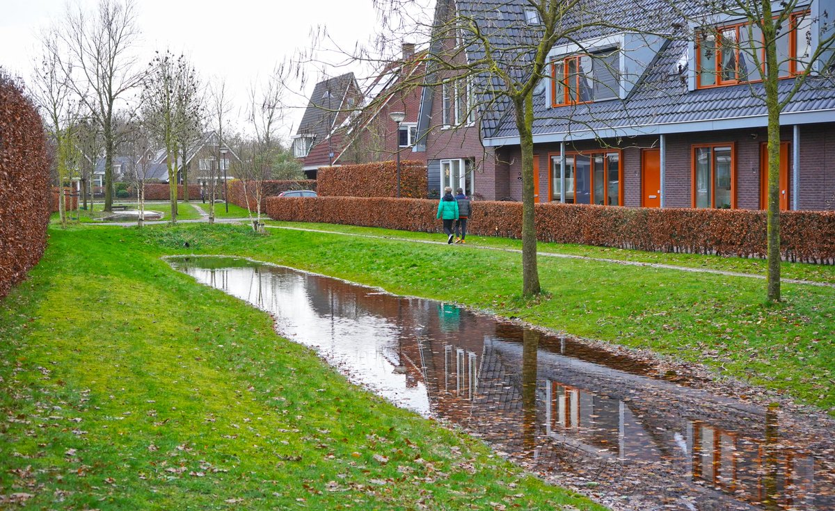 NandaSluijsmans's tweet image. Een vakgenoot vroeg voorbeelden van wadi's🌱🌧. Die in #Putten blijven goed als voorbeeld.😃

Volgende week wadi-tijd!😃☔️
#Klimaatadaptatie 💧