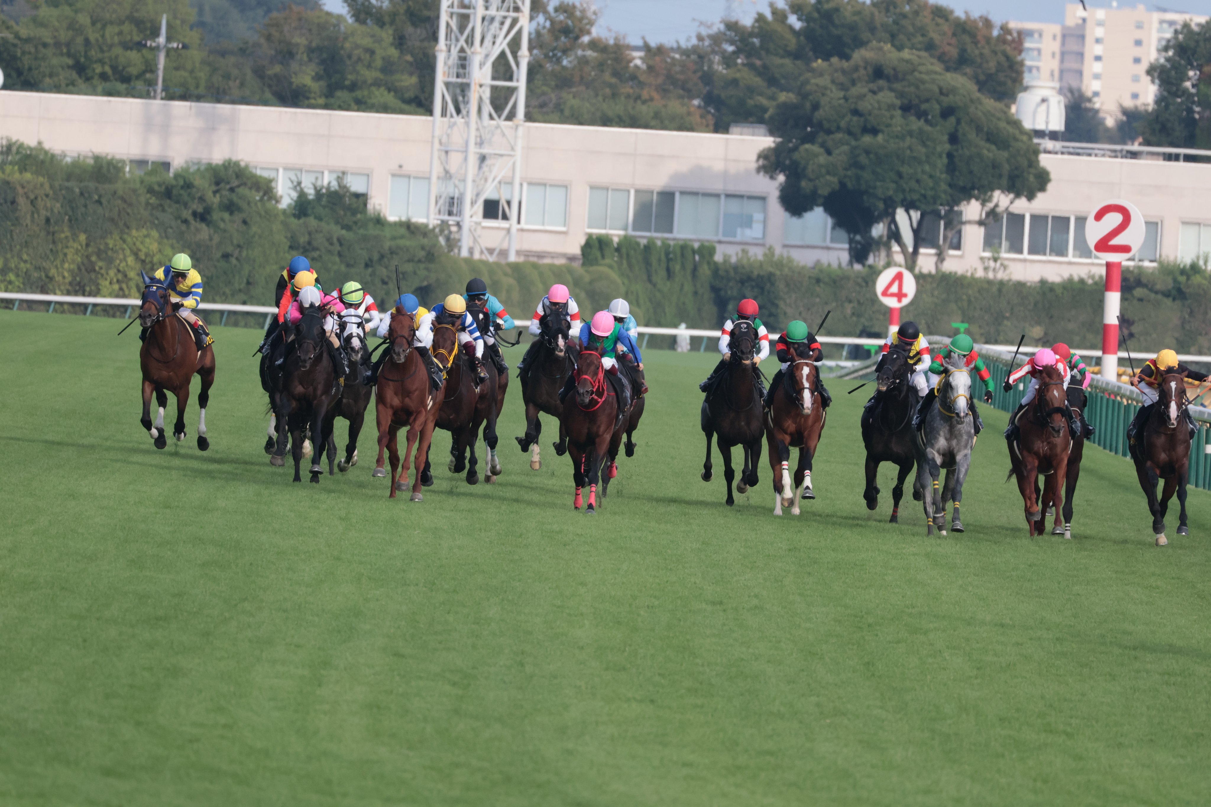 まねき馬　まねき馬倶楽部　競馬カード　丹内祐次騎手　レインボーカード まねき馬 まねき馬倶楽部 競馬カード 丹内祐次騎手 レインボー