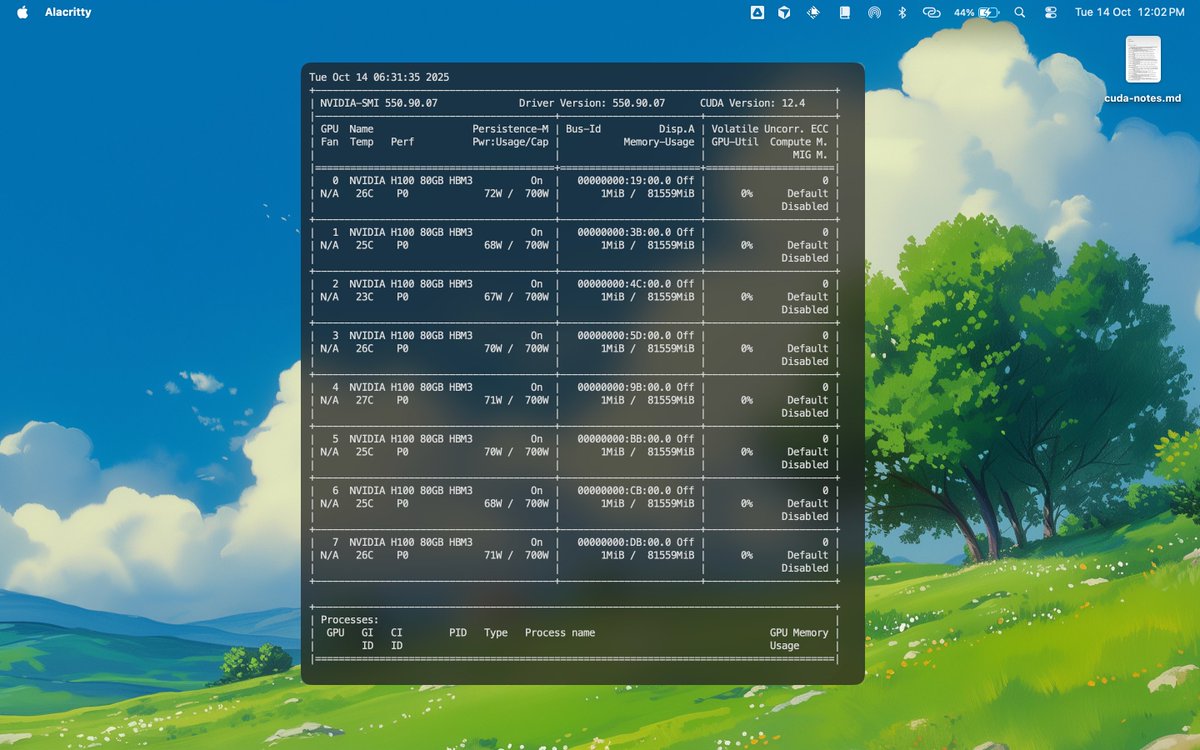 saurabhtwq's tweet image. lion only care about nanochat for next few days.