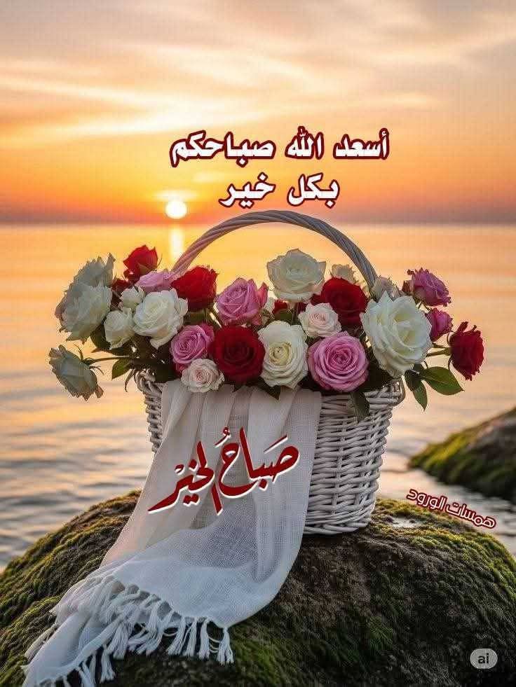 <a href="/4IuJ6iOBFRiiJ6h/">سيدالموسوي</a>