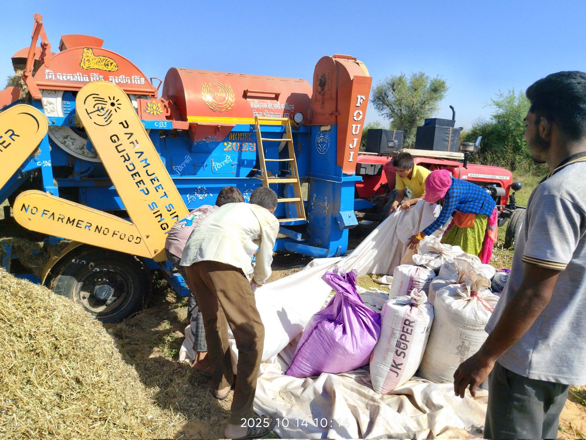 किसान 🌾🍀
6 बीघा में 5 क्विंटल 🫡 
#tr_marwadi