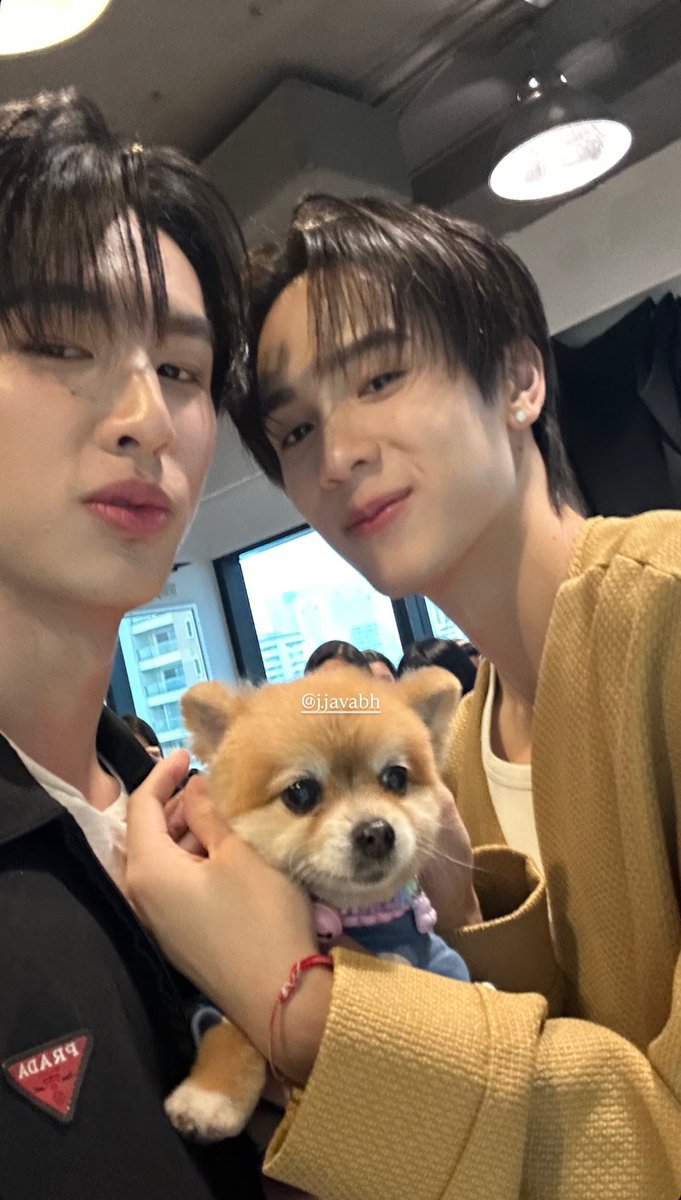 javafamily_o's tweet image. 🗓️ 𓂂 14102025

*･｡ﾟɪɢꜱ ━ 𝘀𝘄𝗲𝗻𝘀𝘂𝗿𝗳 

ꗯ꙼̈ 𓂂 @javabh28 #javabh #swensurf #surfjava #H2Hseries