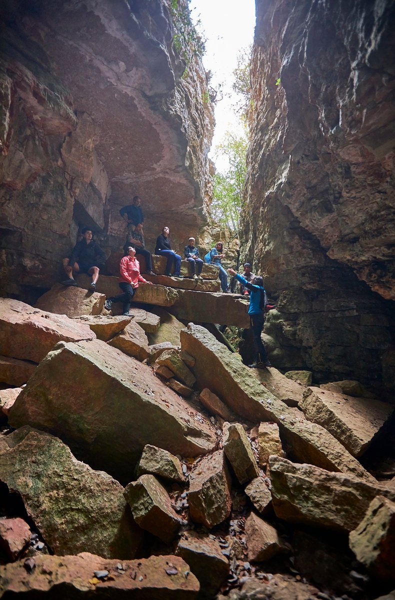 📍Els Avencs de la Febró és un dels elements naturals i geològics més increïbles que hi ha a l'interior del Baix Camp✨

⛰️Es una esquerda oberta a la cinglera de la Mussara amb una galeria de gairebé 300 m de llargada i uns 30 de fondària.

🤩És un lloc impressionant! 🔥