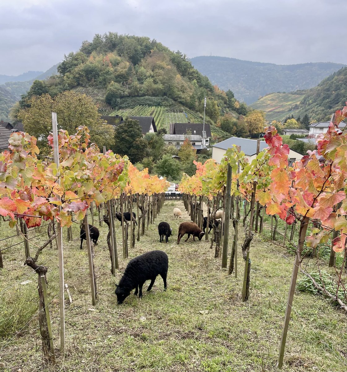 Guten Morgen, 
habt einen bunten Dienstag mit glücklichen Momenten! 😊