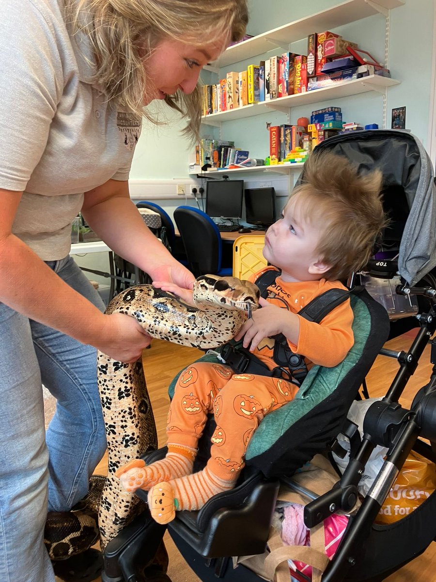 NCH Play Service tweet media